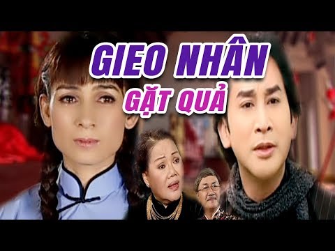 Cải Lương Xưa | Gieo Nhân Gặt Quả – Kim Tử Long Phi Nhung | cải lương hay xã hội