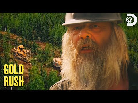 The Beets’ Golden Discovery  | Gold Rush