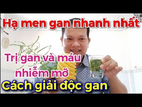 Cách giải độc gan trong tích tắc. Hạ men gan nhanh nhất. Trị gan và máu nhiễm mỡ. Cực kỳ hay ?