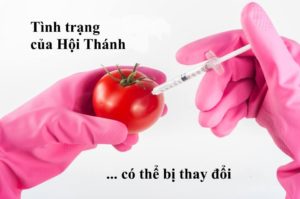 Tình trạng sa ngã của dân Đức Chúa Trời (phần 2)