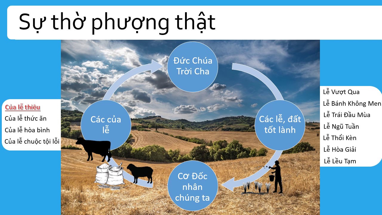 Của lễ thiêu