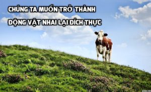 Chúng ta muốn trở thành những con vật nhai lại đích thực