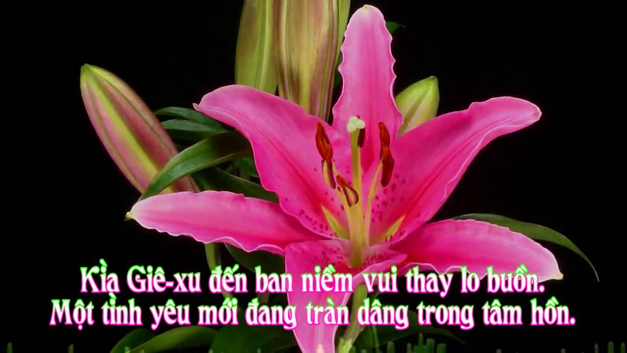 CHÚC MỪNG NĂM MỚI – Sáng tác: Thi Thiên