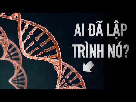 Khoa học gia phát hiện trí tuệ sinh mệnh cao tầng trong 3 tỷ mã DNA?